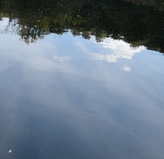 粉象一般人能喝几瓶