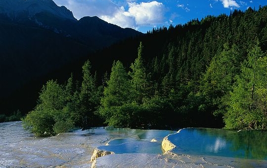 粉象邀请码瞎填可以登录吗