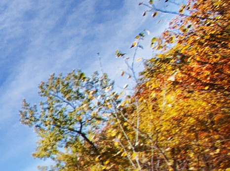 微信群里介绍粉象生活的术语