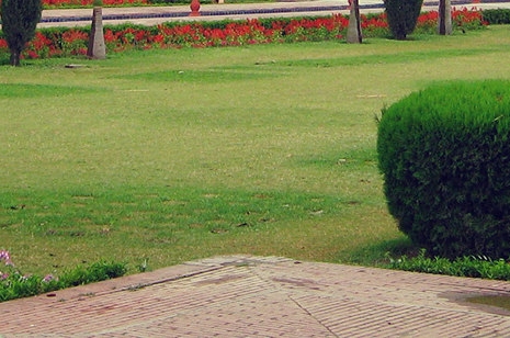 粉象生活谁创办的