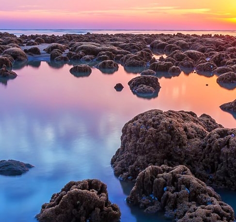 粉象生活和高佣联盟谁好