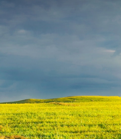 有没有必要开通粉象会员