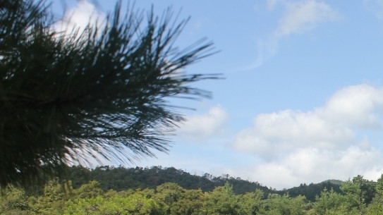 开饵料怎么加拉丝粉