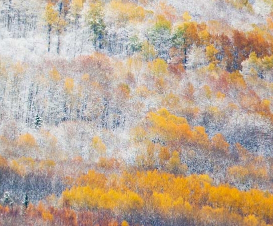 沈阳粉象洗浴会馆