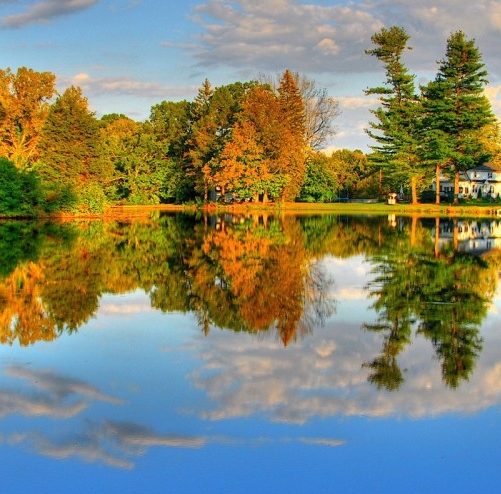 粉象生活怎么免费升级vip