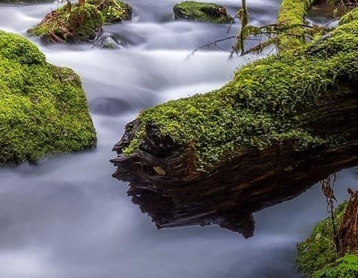 粉象的秒杀也太快了
