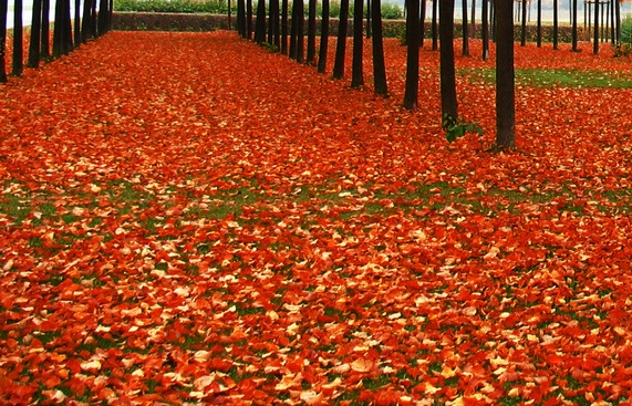 马蒂斯纳米水粉颜料怎么样