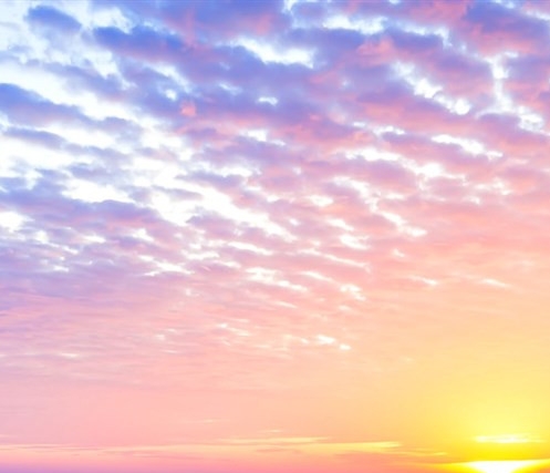 美邦聪明象丙粉