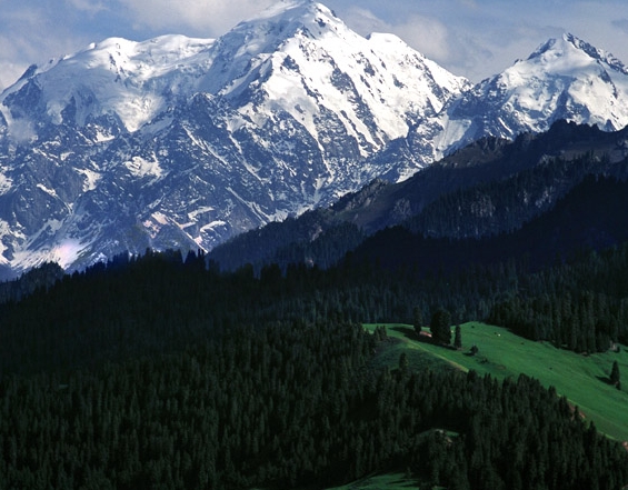 粉象生活靠谱吗