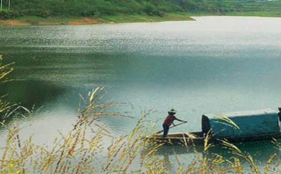 蜜源和粉象生活哪个佣金高