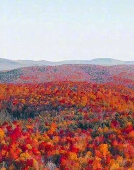 粉象生活哪年注册的