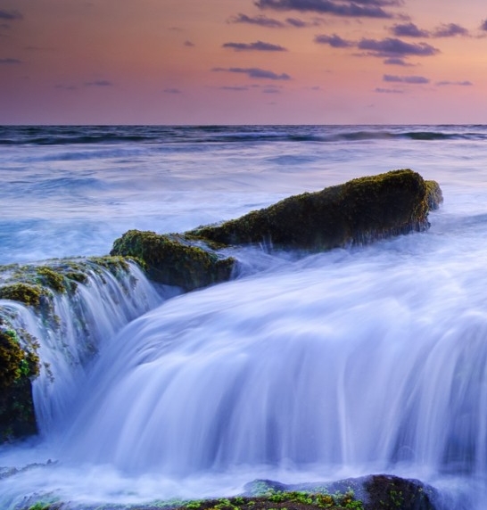 深粉象属于什么风格的啤酒