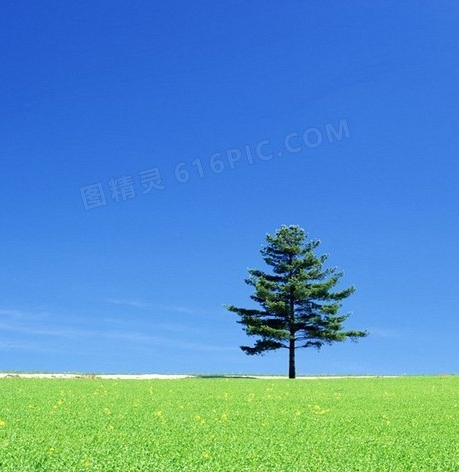 粉象生活官方邀请码哪一个是真的