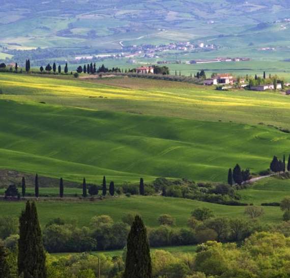 粉象优选里是正品吗