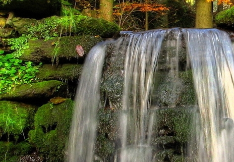 沈阳派斯菲克会馆