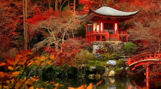 碧道佳五常长粒香米