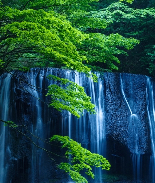 粉象生活是如何赚钱的