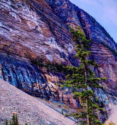 花生日记与粉象对比