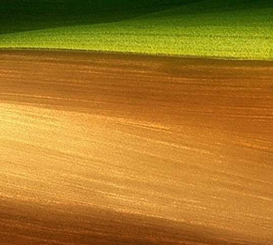 高佣联盟到底有粉象生活好吗