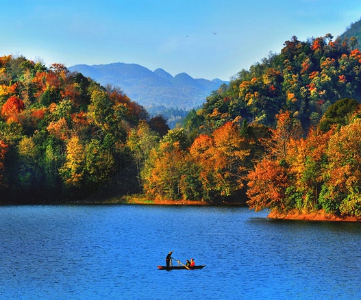 李红星 粉象生活