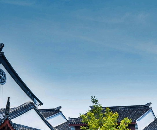 没人脉怎么玩粉象生活