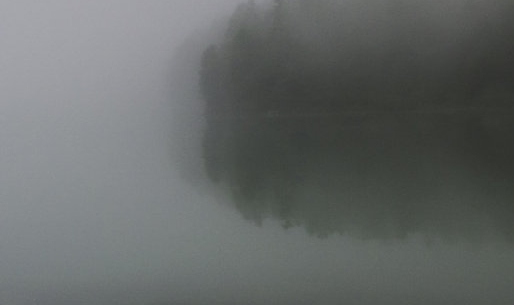 粉象生活限时抢购方法