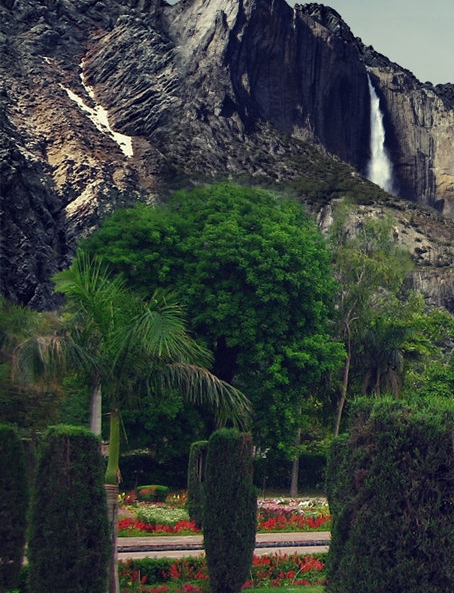 粉象生活邀请码填谁的最好