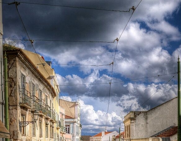 粉象生活什么时候开始成立的