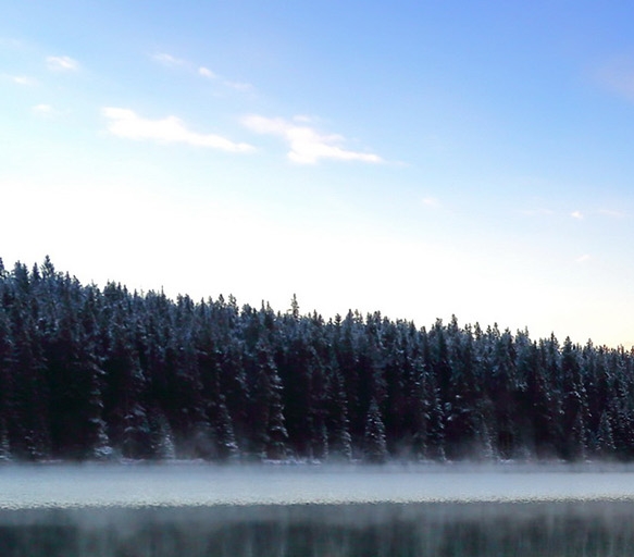万象物语模拟器