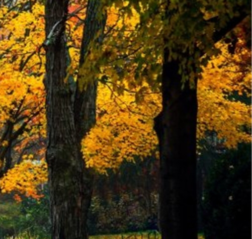 粉象生活安全可靠吗