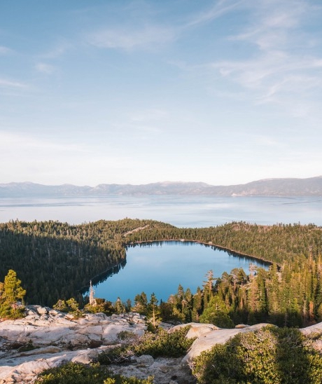 怎样提前抢粉象的秒杀