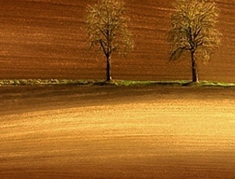 生活像苦咖啡的含义