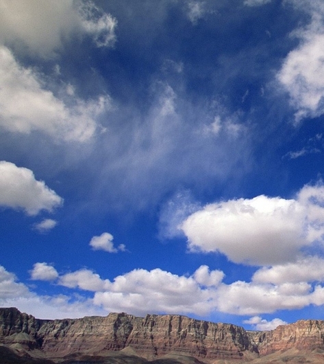 粉象生活虎哥团队