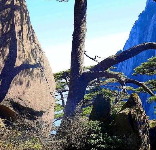 刀枪棍棒斧钺钩叉