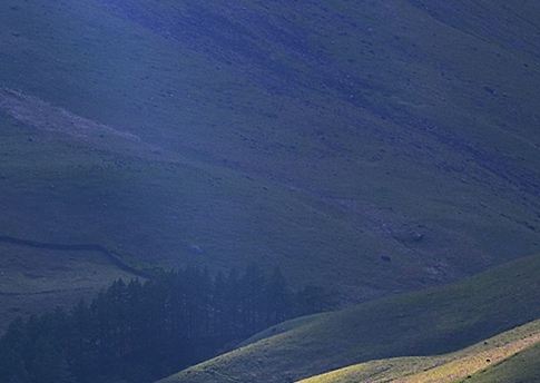 粉象创始人李红星