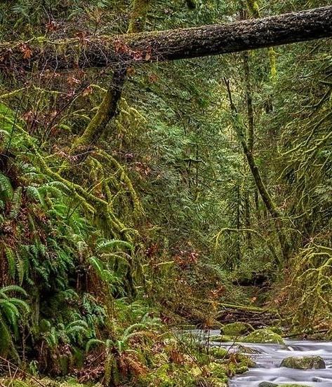 日本生活的日常