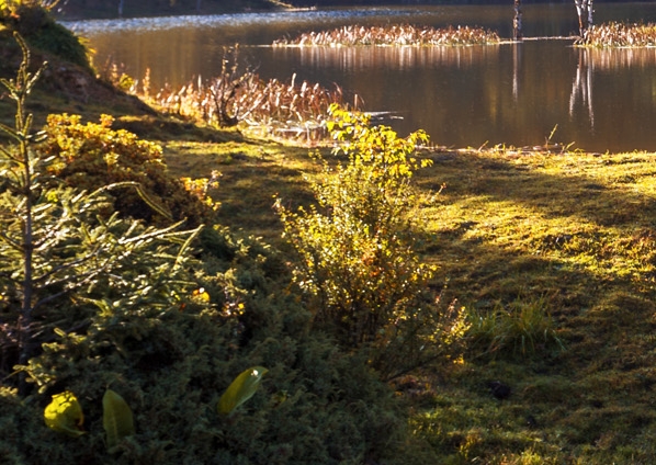 这就是生活电视剧免费