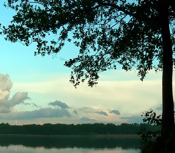 绿色生活是什么