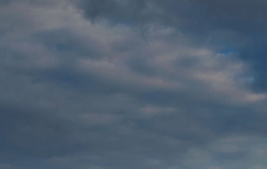 岛屿生活和绿色生活的关系