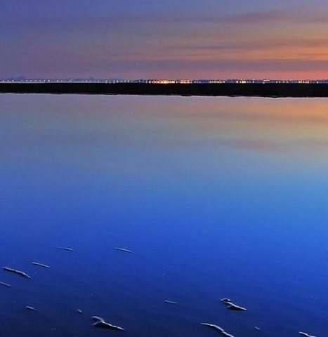 咖啡豆一般去哪里买