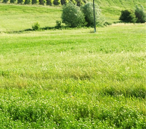 人生向左命运向右