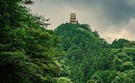 明确的生活态度 会让一切变得简单