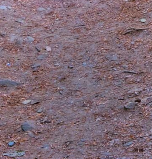 于是生活像极了生活书定价