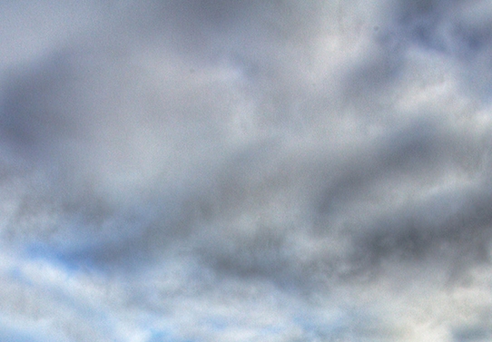 粉象生活目前团队哪个好