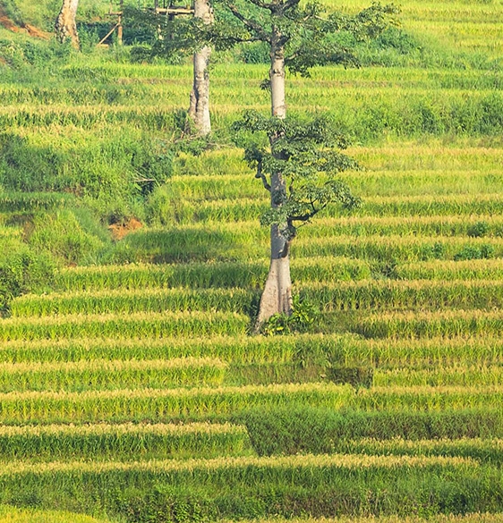 唯有生活能治愈生活呀
