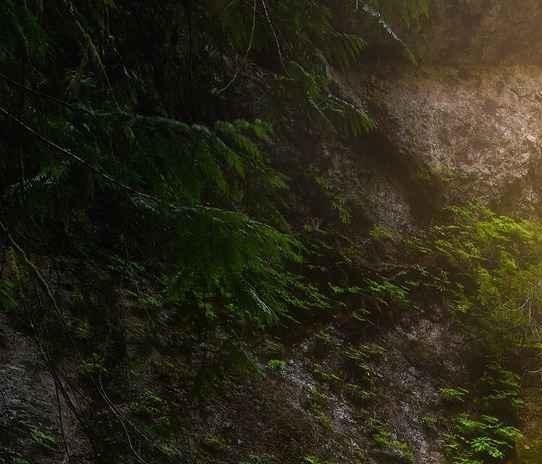 咖啡哪有生活苦生活忙碌