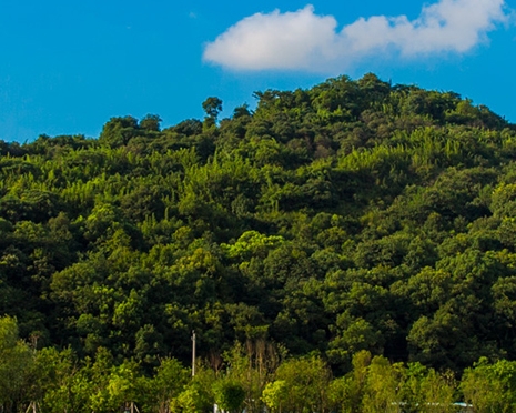 幼儿园生活活动目标与指导