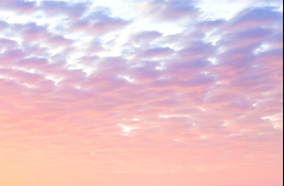 小阿睿的生活碎片微博