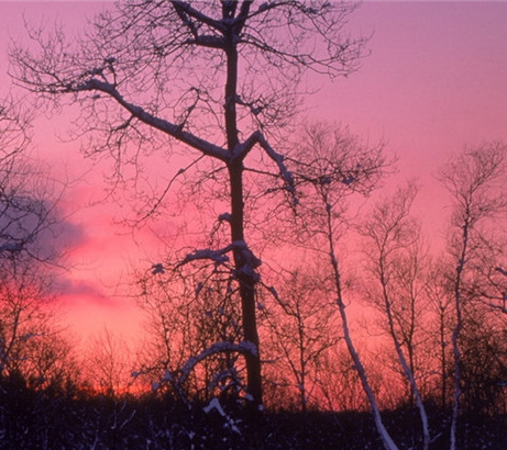 人生不容易的图片