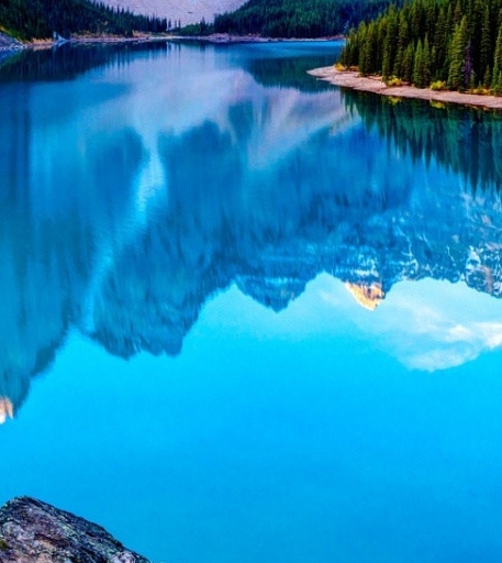 一个舒适的生活